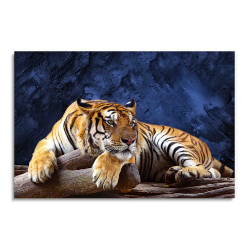 35450 Tiger Portrait, Acrylic Glass Art