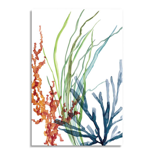 40472 Watercolor Kelp and Coral, Acrylic Glass Art