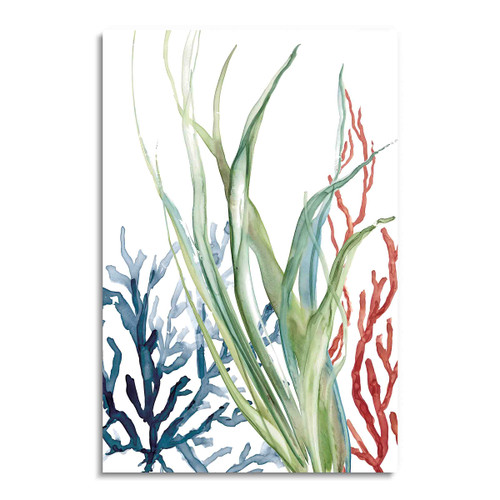 40473 Watercolor Coral and Kelp, Acrylic Glass Art