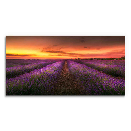 39005 02 Orange Sunset Flower Field, Acrylic Glass Art