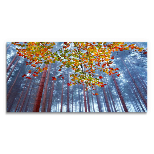 39068 02 Colorful Leaves Forest Fog, Acrylic Glass Art