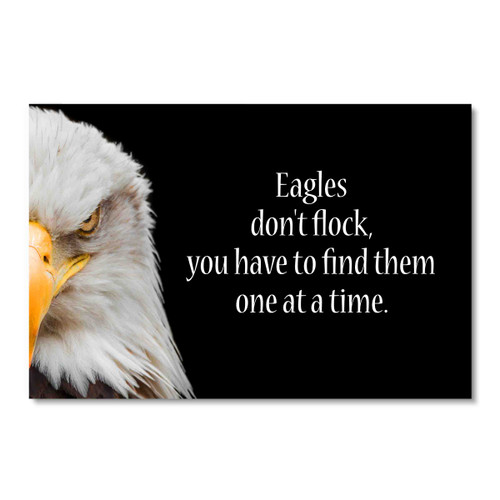 36048 Eagles Don't Flock, Acrylic Glass Art