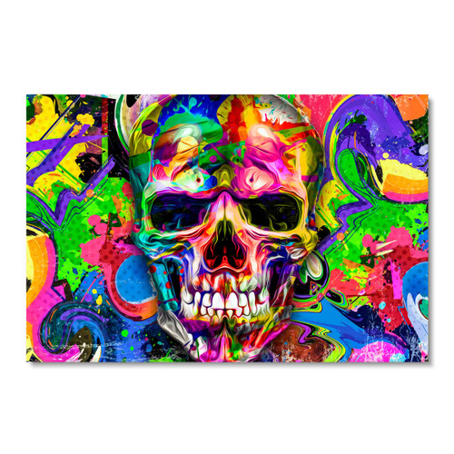 65190 Graffiti Skull, Acrylic Glass Art