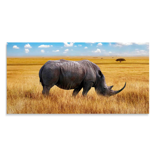 35401 02 Rhino in the Wild, Acrylic Glass Art