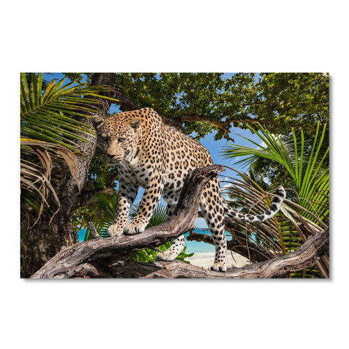 35133 Leopard, Acrylic Glass Art