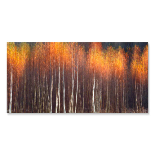 39009 02 Red Orange Branches, Acrylic Glass Art