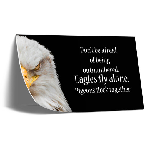 UV36049 Eagles Fly Alone, UV Poster Board