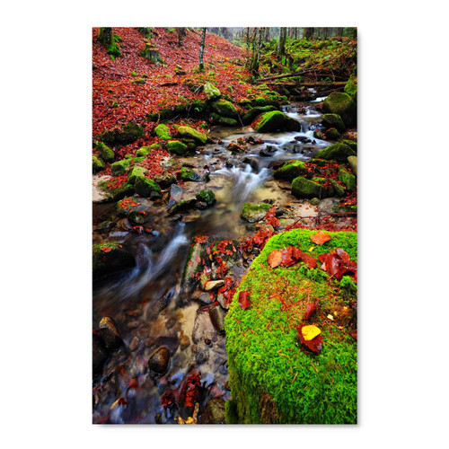 80073 Red Leaves Stream, Acrylic Glass Art