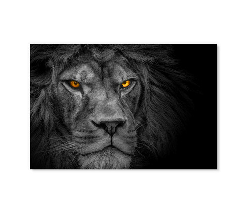 35287 LION , Acrylic Glass Art