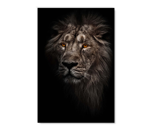 35034 Lion, Acrylic Glass Art