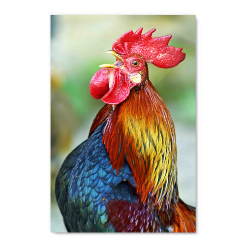 70018 Chicken, Acrylic Glass Art