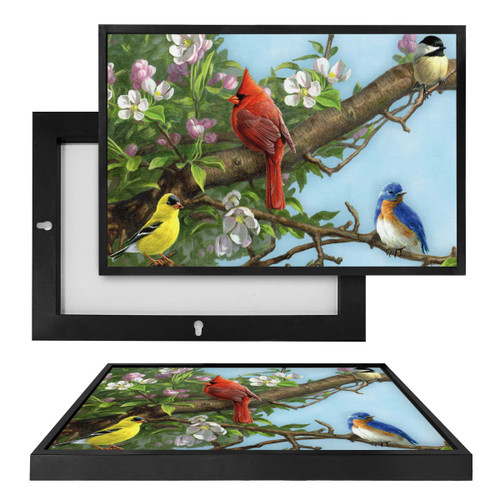 MINI70300 Bird Friends, Framed UV Poster Board