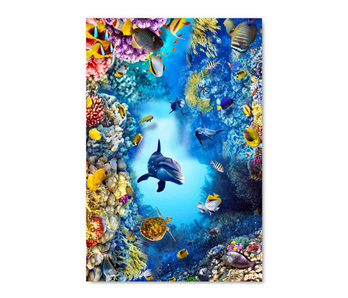 50047 Coral Reef Life, Acrylic Glass Art