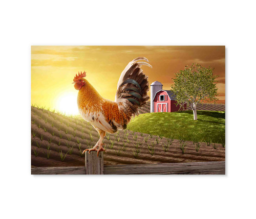 70021 Daytime Rooster, Acrylic Glass Art