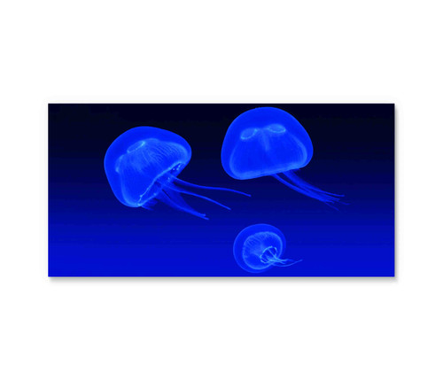 50086-02 Blue Jel, Acrylic Glass Art