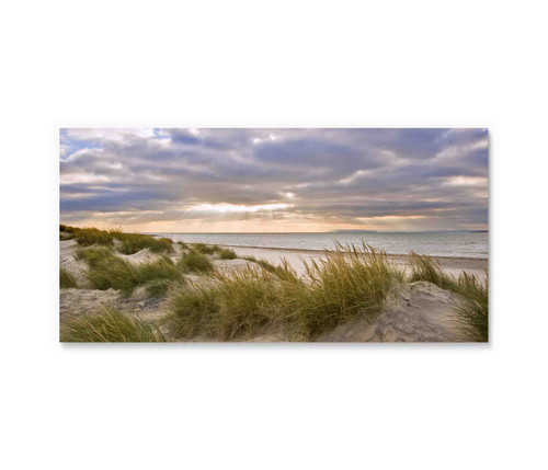 10777-02 Sunset Beach Grass, Acrylic Glass Art