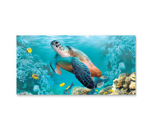50137-02 Sea Turtle, Acrylic Glass Art