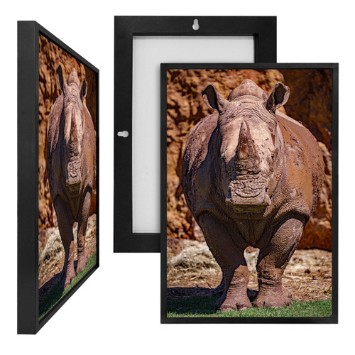 MINI35137 Rhinoceros, Framed UV Poster Board