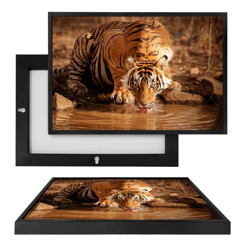 MINI35159 A Tiger's Thirst, Framed UV Poster Board