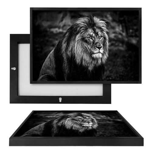 MINI35300 B&W Lion, Framed UV Poster Board