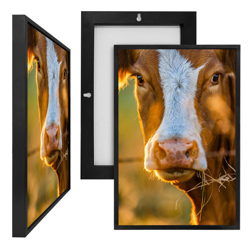 MINI66110 Brown Cow, Framed UV Poster Board