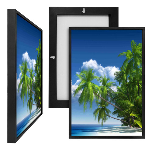 MINI10732 Palm Tree Galore, Framed UV Poster Board