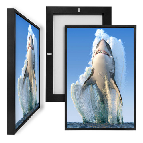 MINI50153 Shark, Framed UV Poster Board