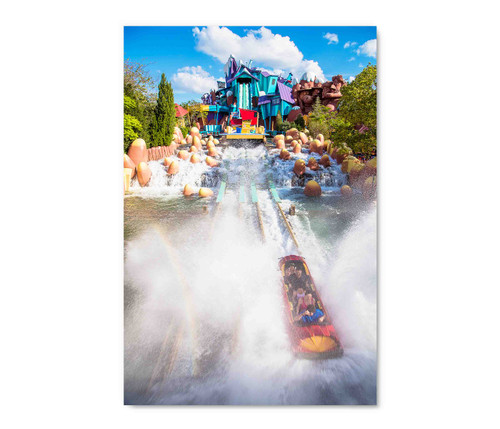 20621 Dudley Do-Right's Ripsaw Falls, Acrylic Glass Art