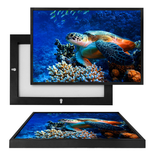 MINI50091 Sea Turtle Blues, Framed UV Poster Board