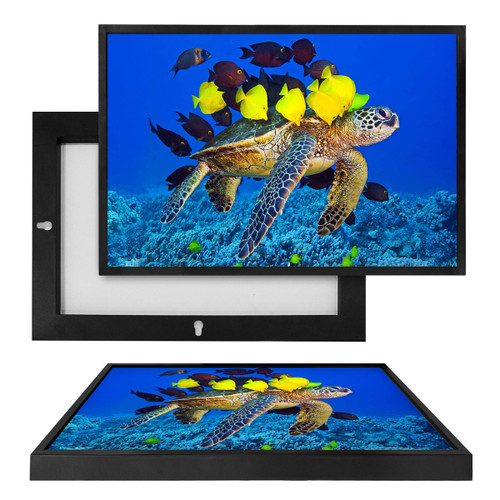 MINI50098 Sea Turtle & Fish Friends, Framed UV Poster Board