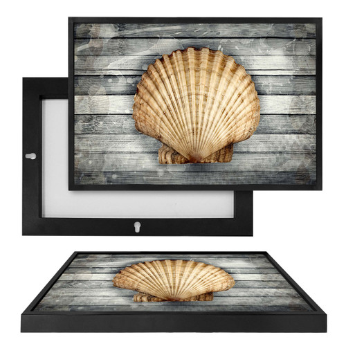 MINI19378 Scallop Shell, Framed UV Poster Board