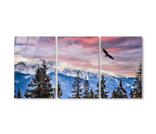 70170-33 Bald Eagle Sunset Sky, Acrylic Glass Art