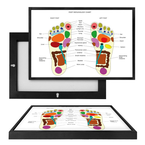 MINI98012 Foot Reflexology Chart, Framed UV Poster Board