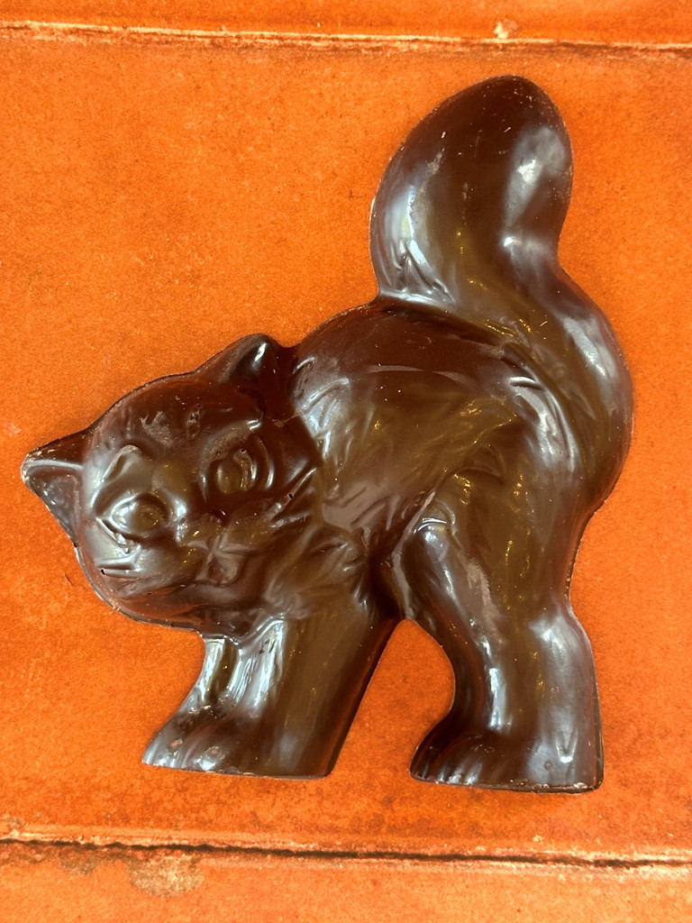 Dark chocolate cat