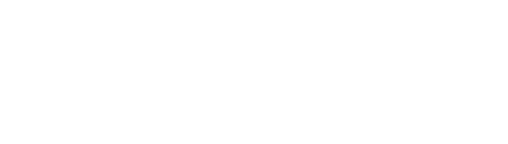Romolo Chocolates