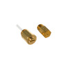 WE25M87-6899.jpg