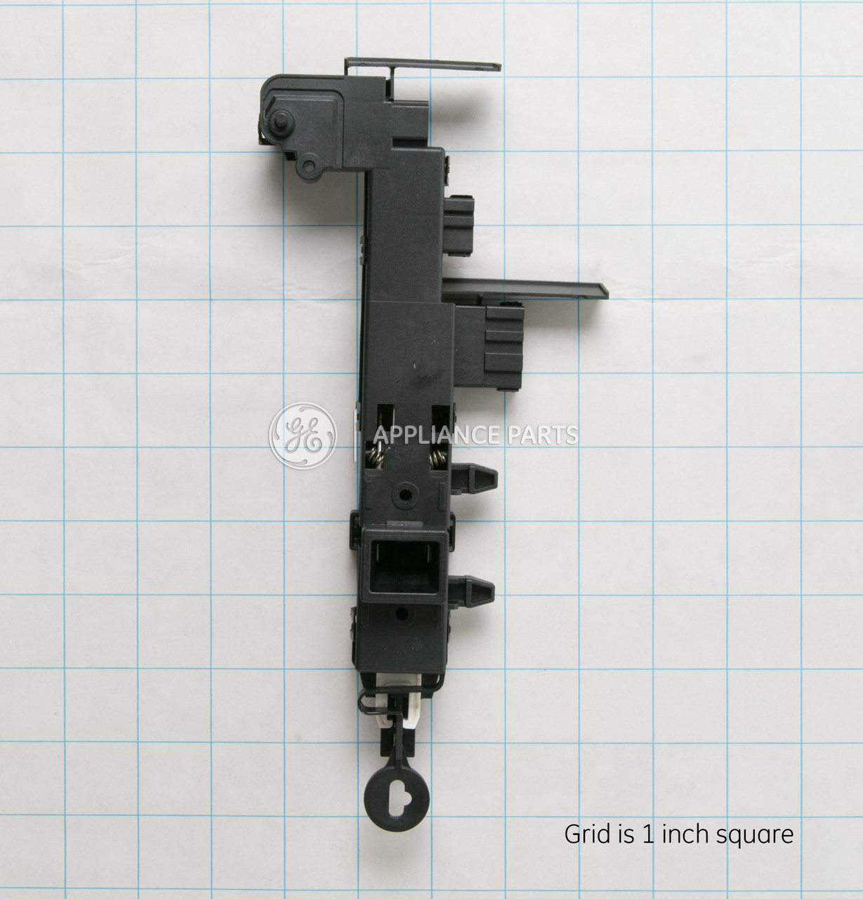 WH10X10006-7993.jpg