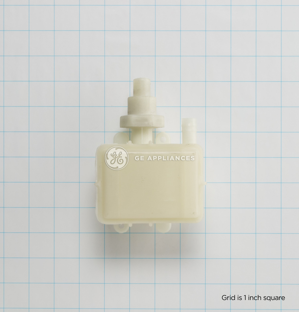 WD22X10024_8180.jpg