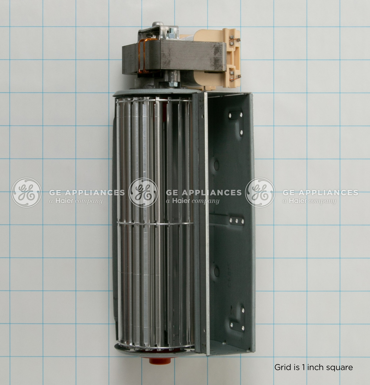 WB26T10023_3024.jpg