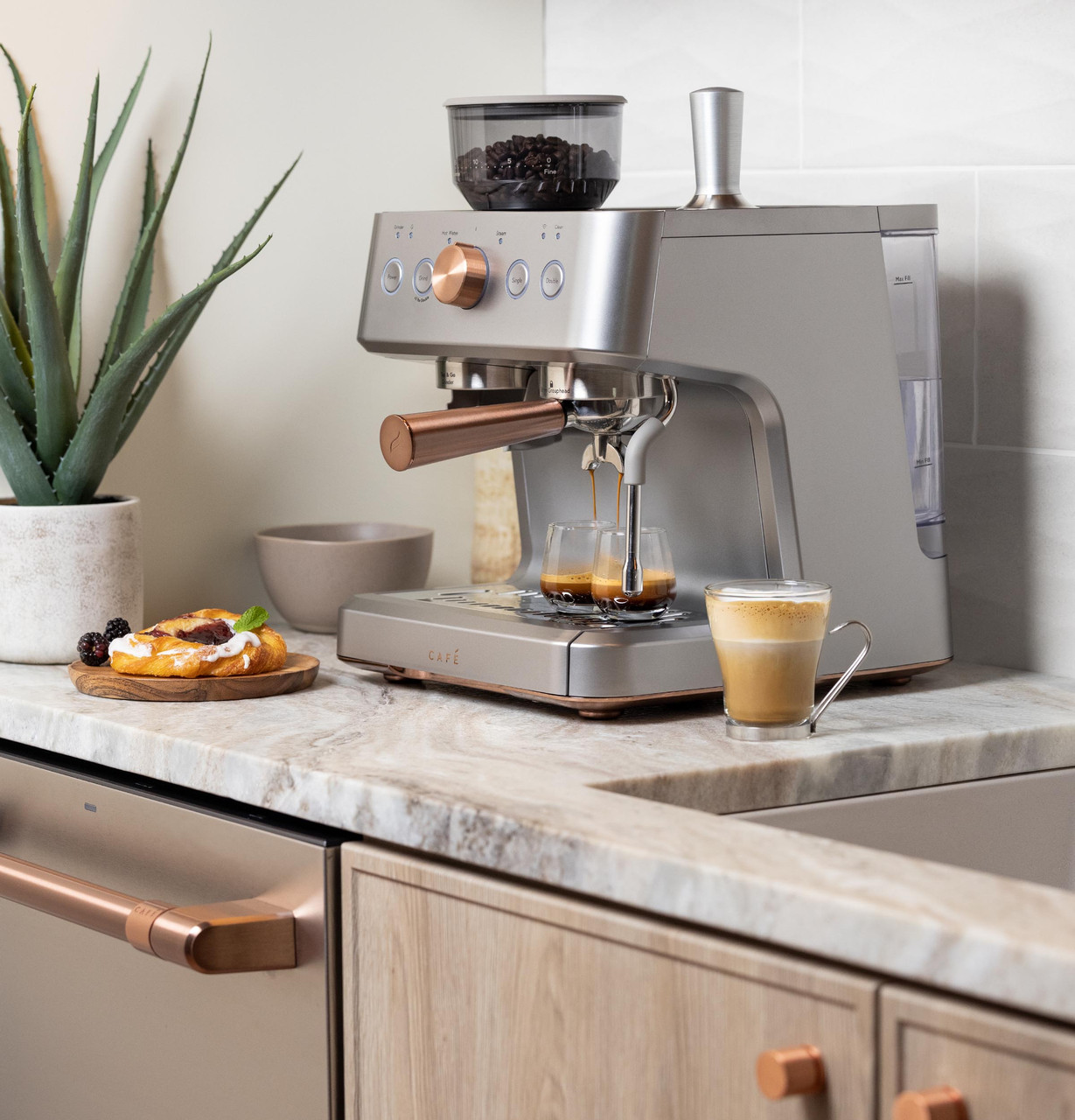Evidence Wilmotte EA89W410 Machine à Espresso automatique à grains - 19  recettes de café - 2,3L, Machines à espresso