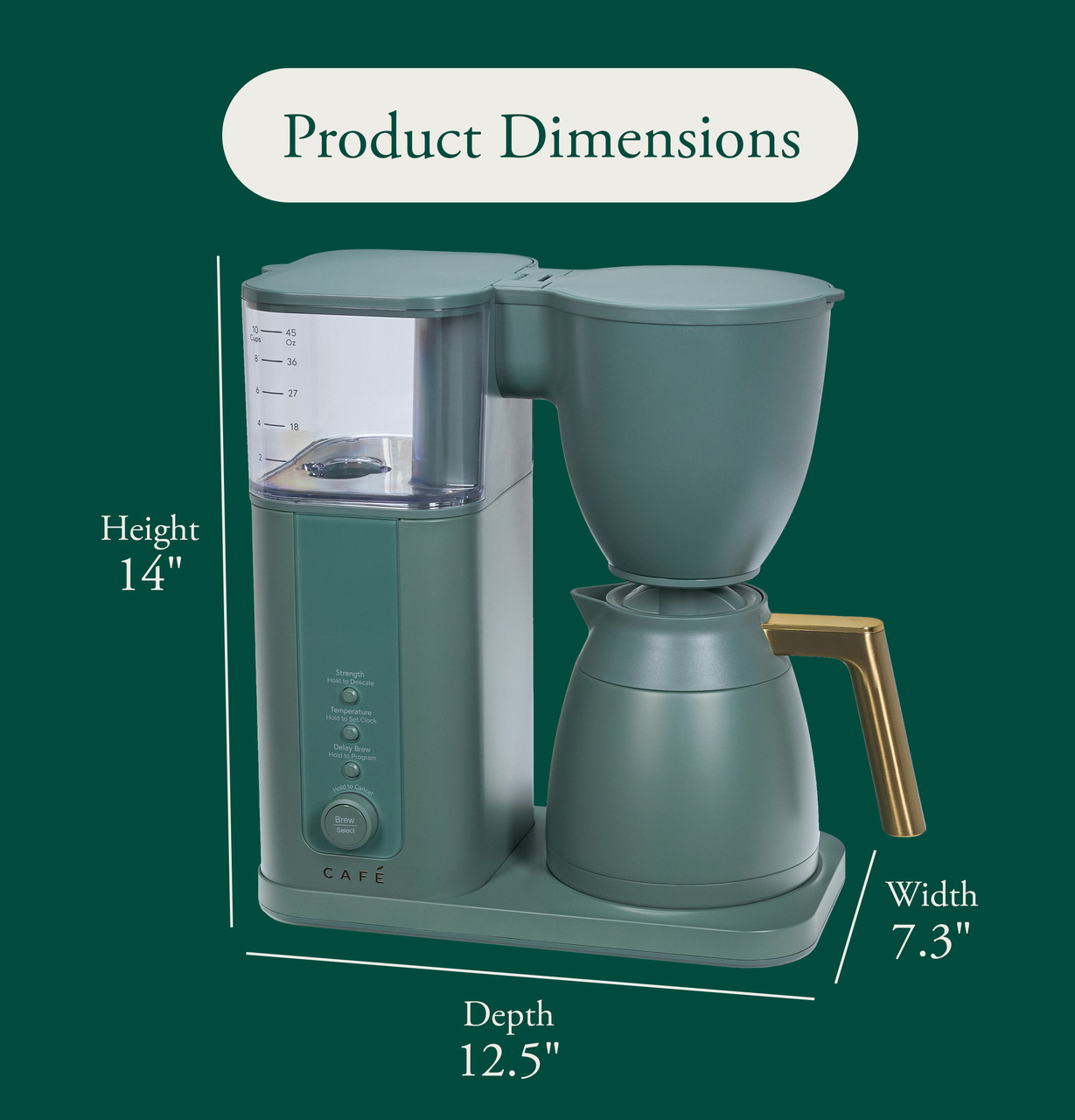 Cafe_Infographic_Coffee_Specs_Tarragon.jpg