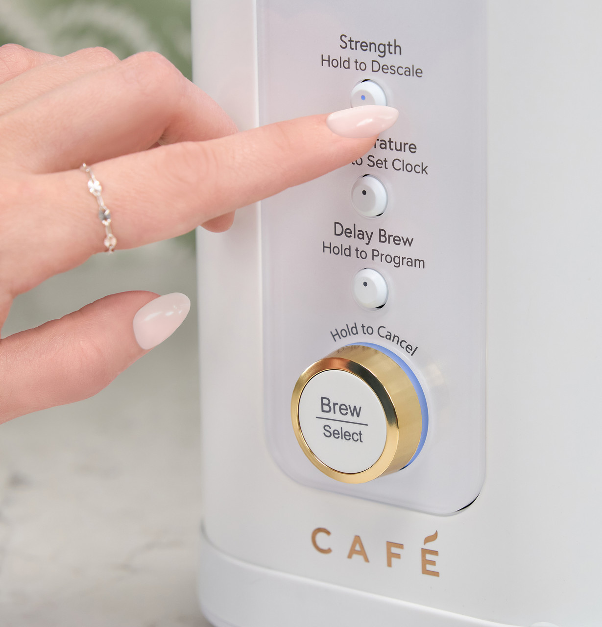 CAFE Refresh White Set-May2026-7064c.jpg