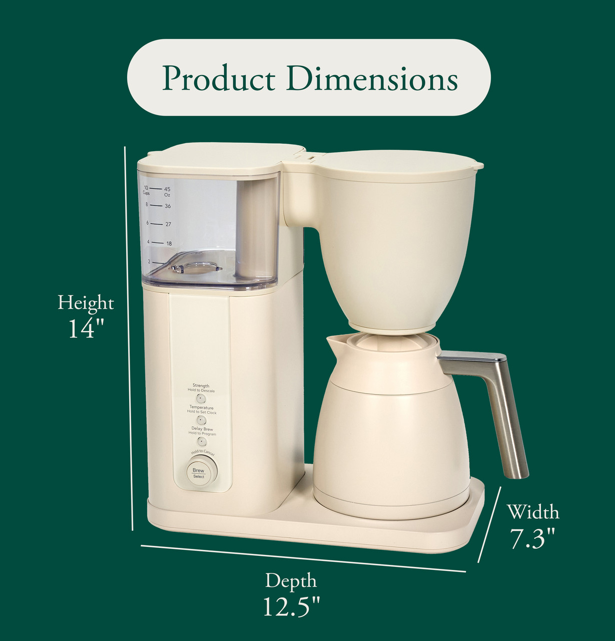 Cafe_Infographic_Coffee_Specs_Buttercream.jpg