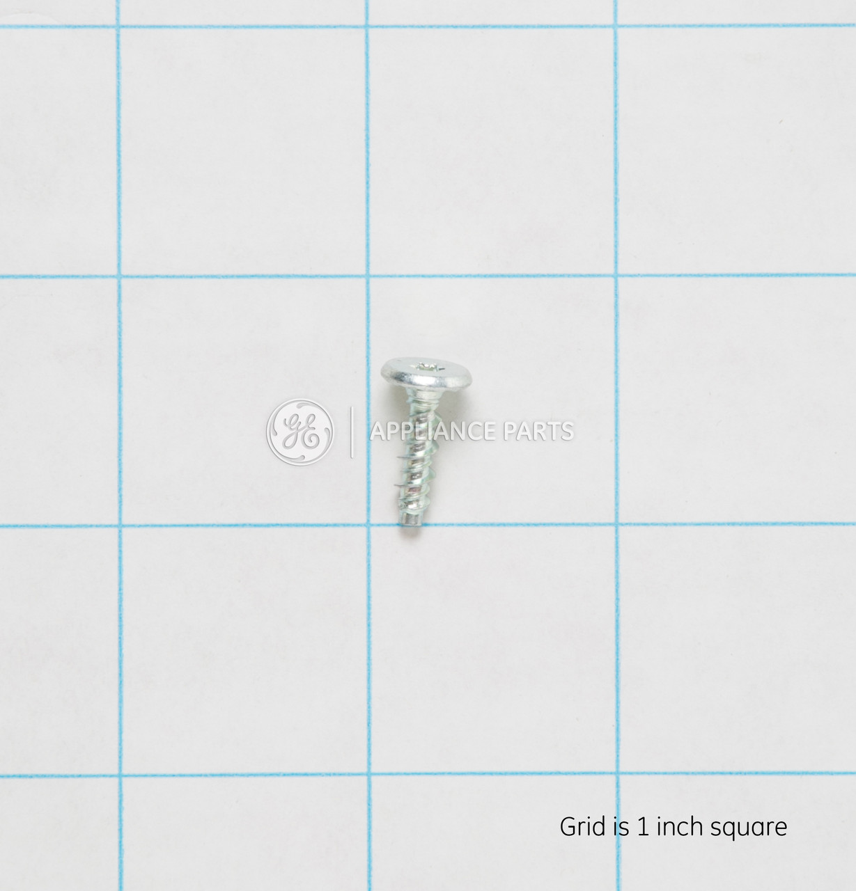 WR01X10621-1737.jpg