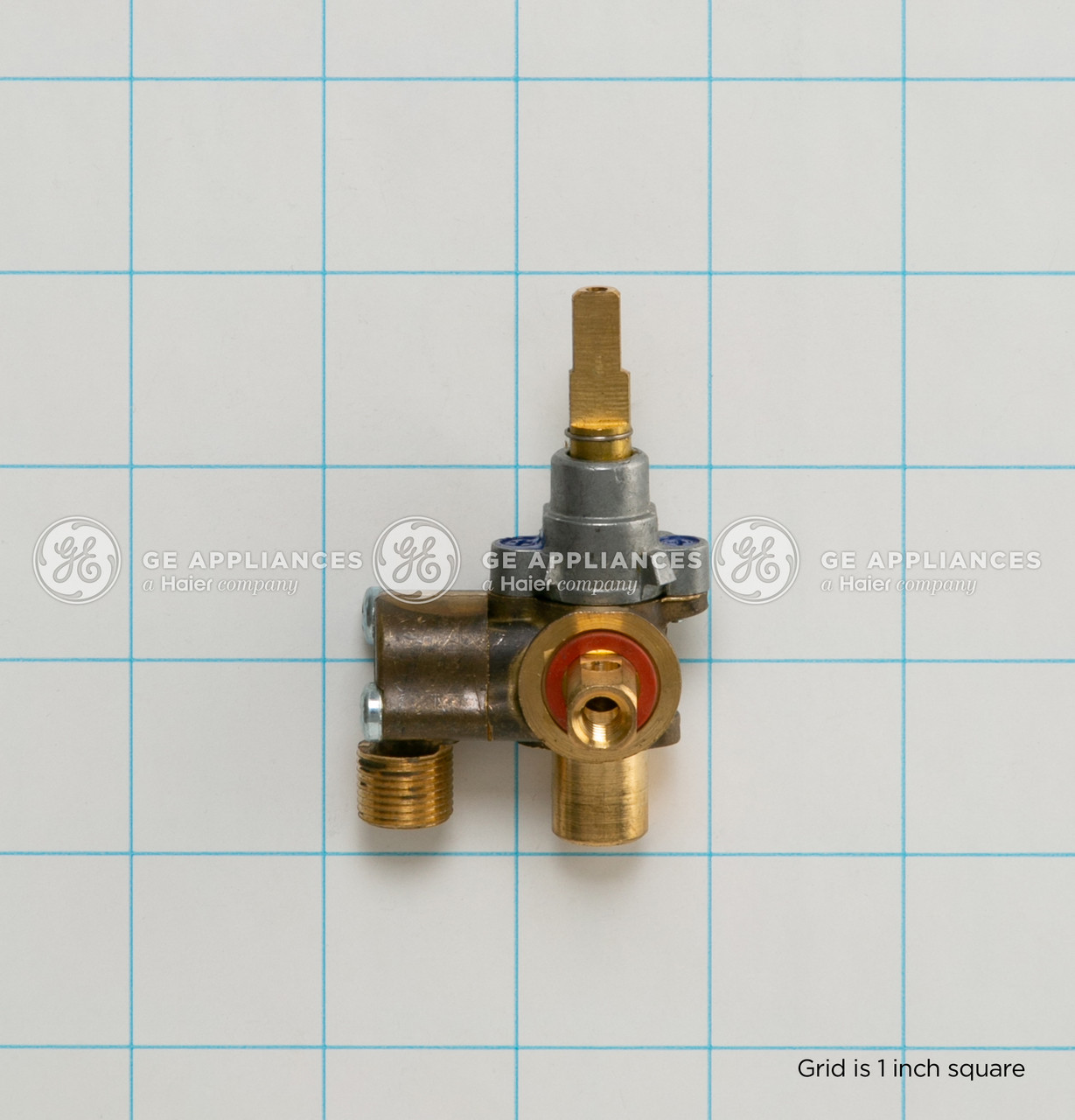 WB21K10077-2929.jpg