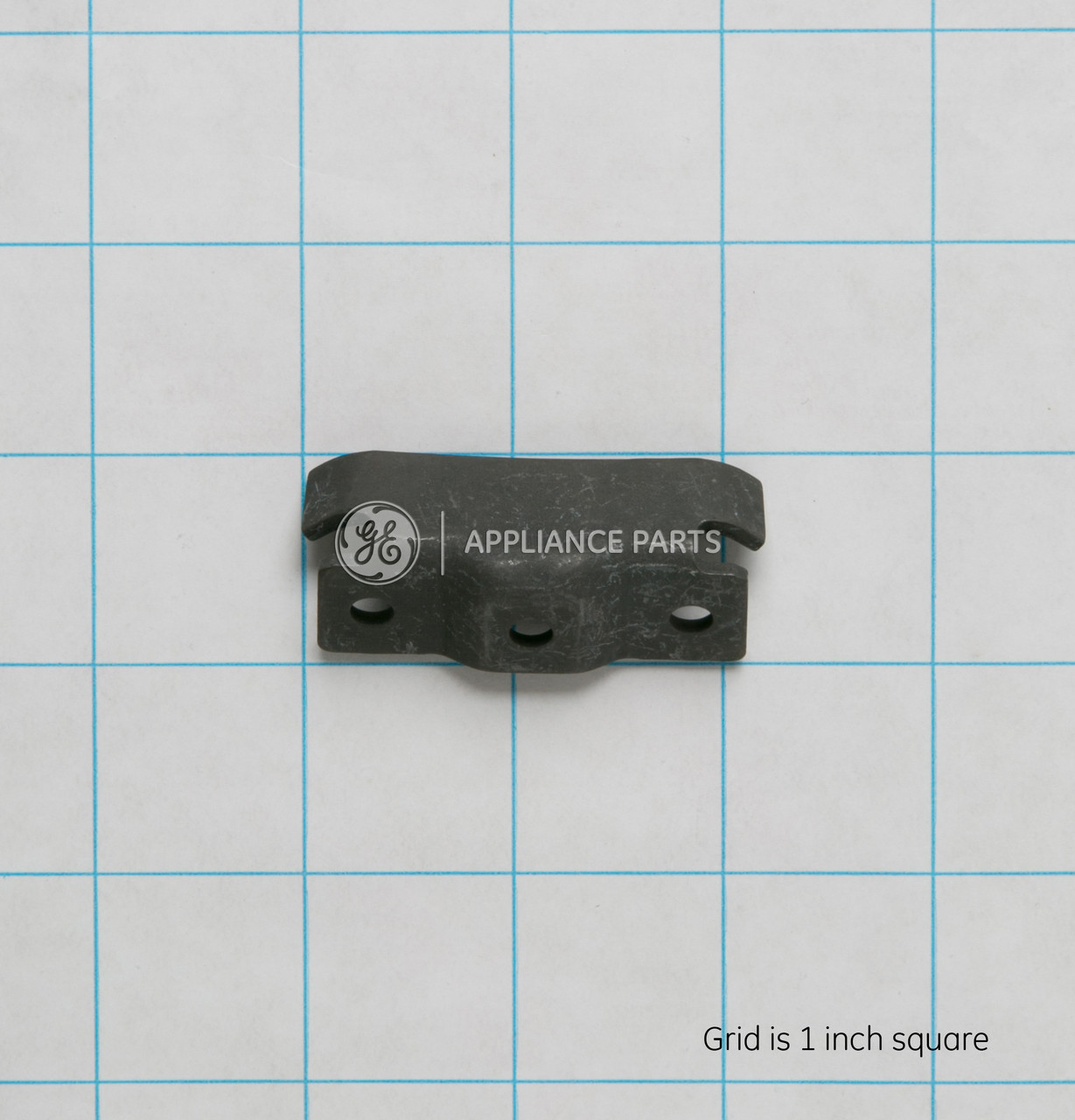 WR2X7213-6837.jpg