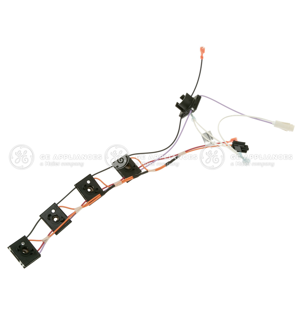 WB18T10452-9596.jpg