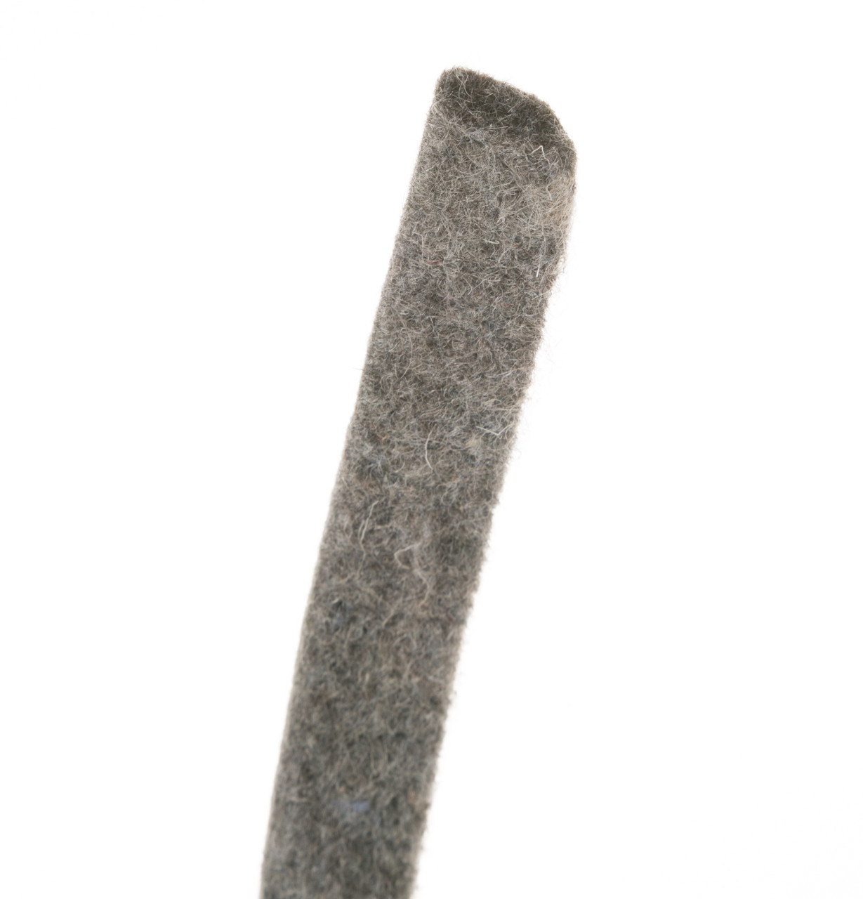 WE9M10-3395.jpg