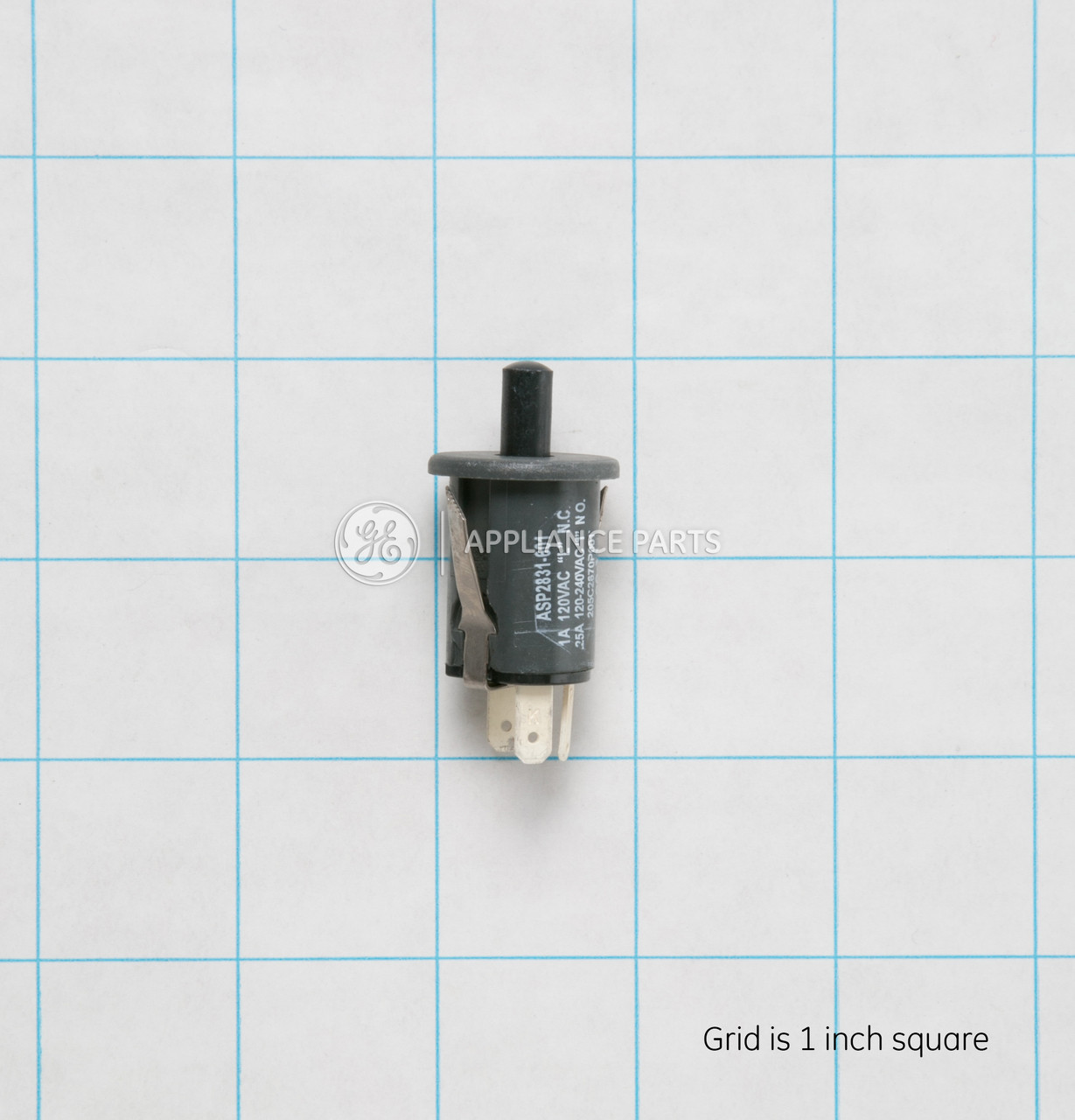 WB24T10065-1832.jpg