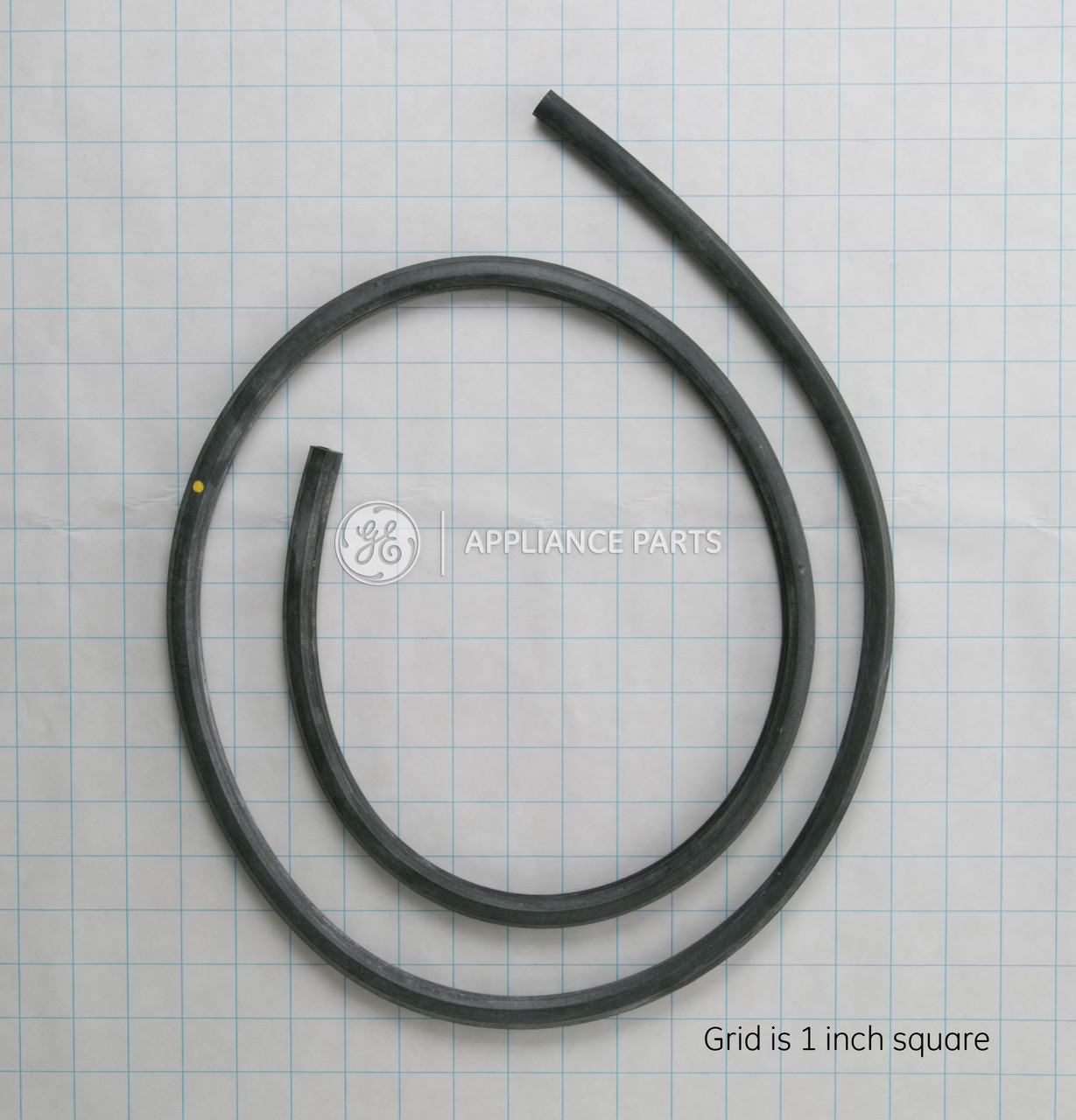 WD08X10018-4820.jpg